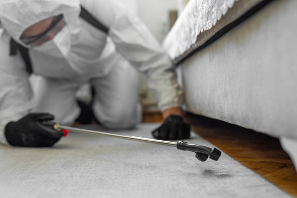 Professional Pest Control technician working in Branch County County, MI